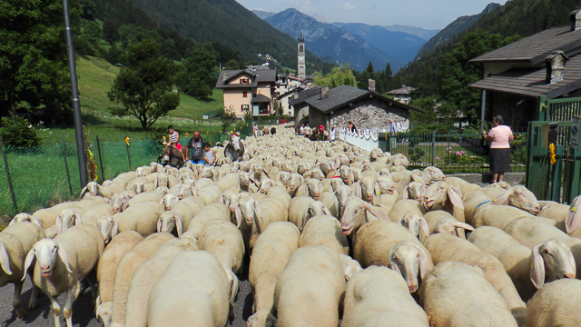 ardesio