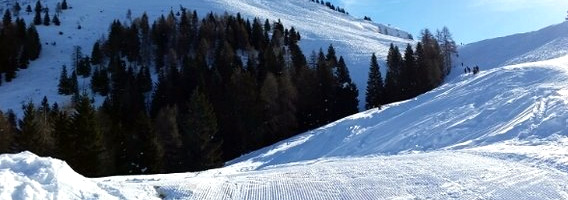 Foreste Spiazzi di Gromo Inverno
